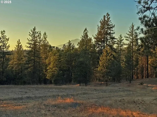 a view of dirt yard with a trees