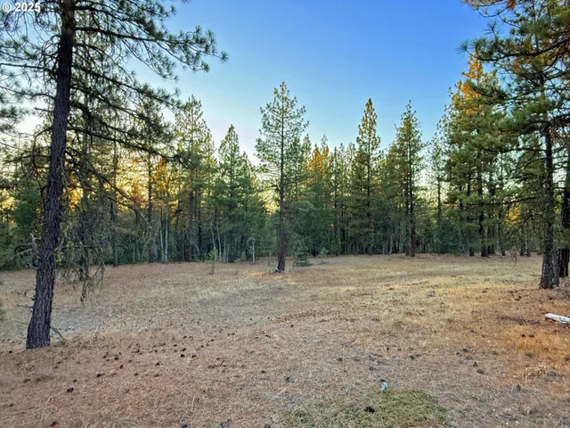 a view of outdoor space with trees