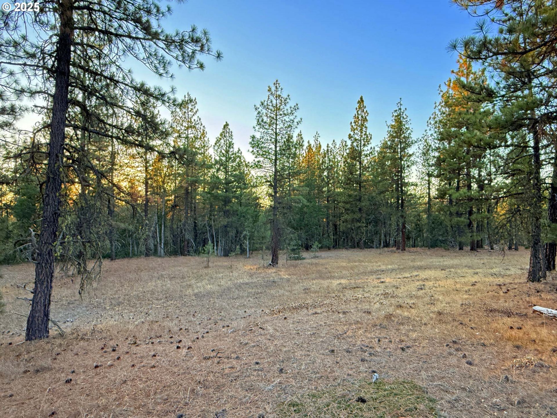 Boardman Way, Unit 5 Goldendale, WA 98620 - Photo 20 of 39 a view of outdoor space with trees