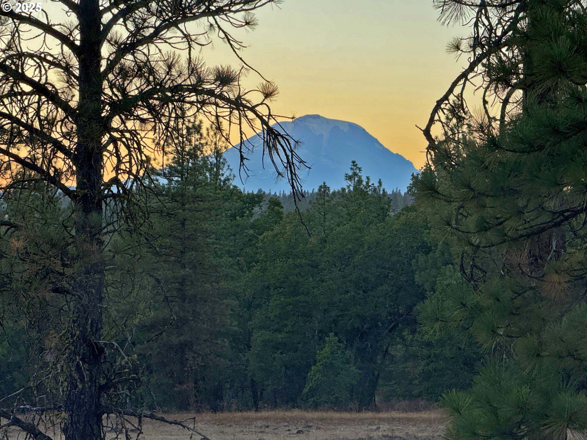 Boardman Way, Unit 5 Goldendale, WA 98620 - Photo 2 of 39 a view of a yard