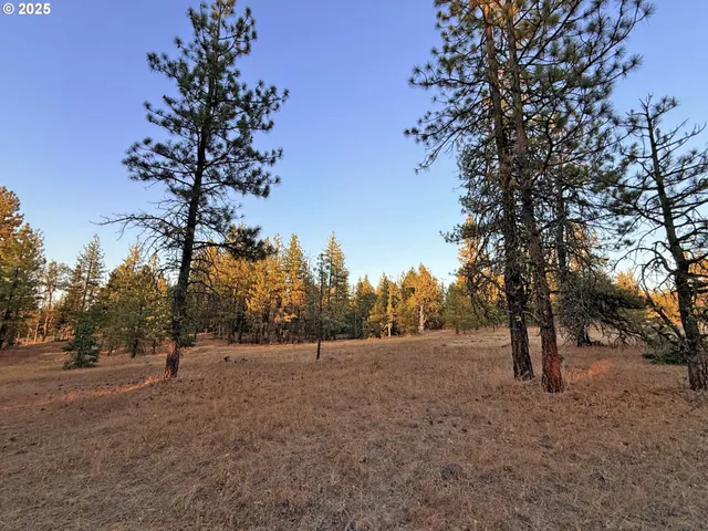 a view of outdoor space with trees