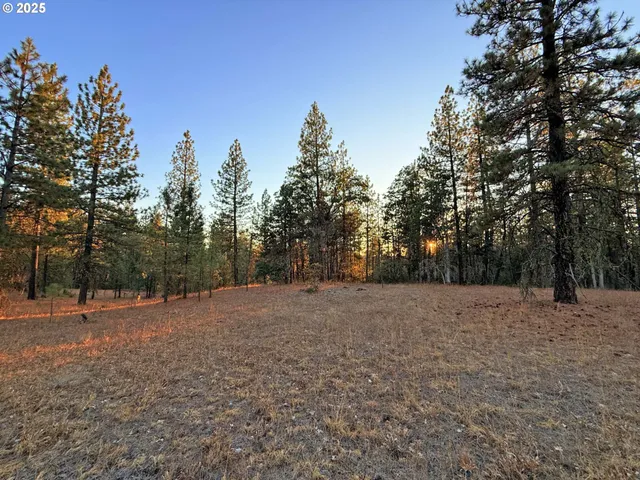 a big yard with trees in the background
