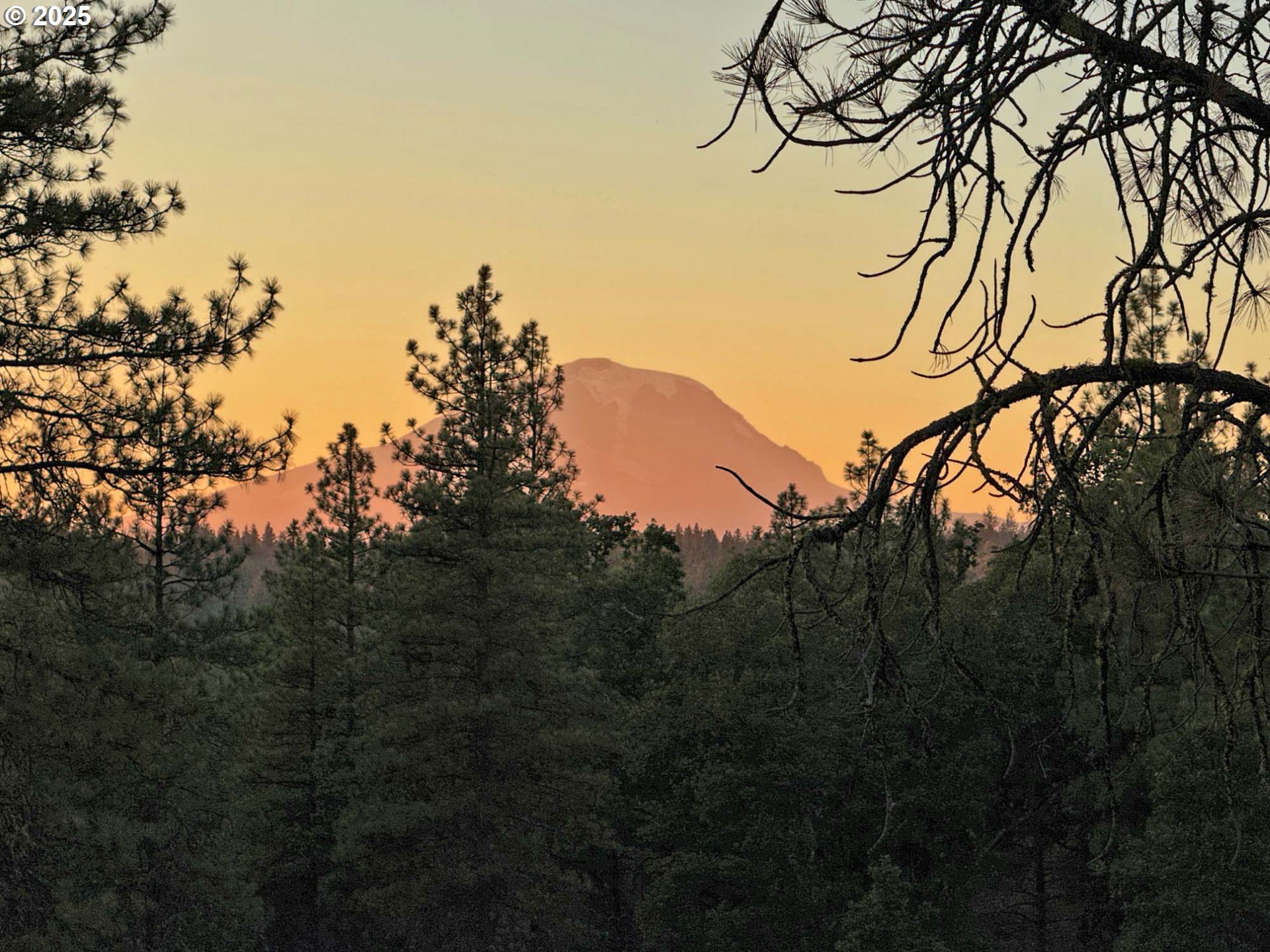 Boardman Way, Unit 5 Goldendale, WA 98620 - Photo 31 of 39 a view of mountain view with lots of trees