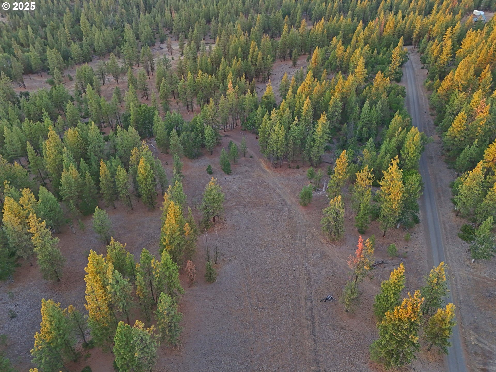 Boardman Way, Unit 5 Goldendale, WA 98620 - Photo 33 of 39 a view of a garden with plants