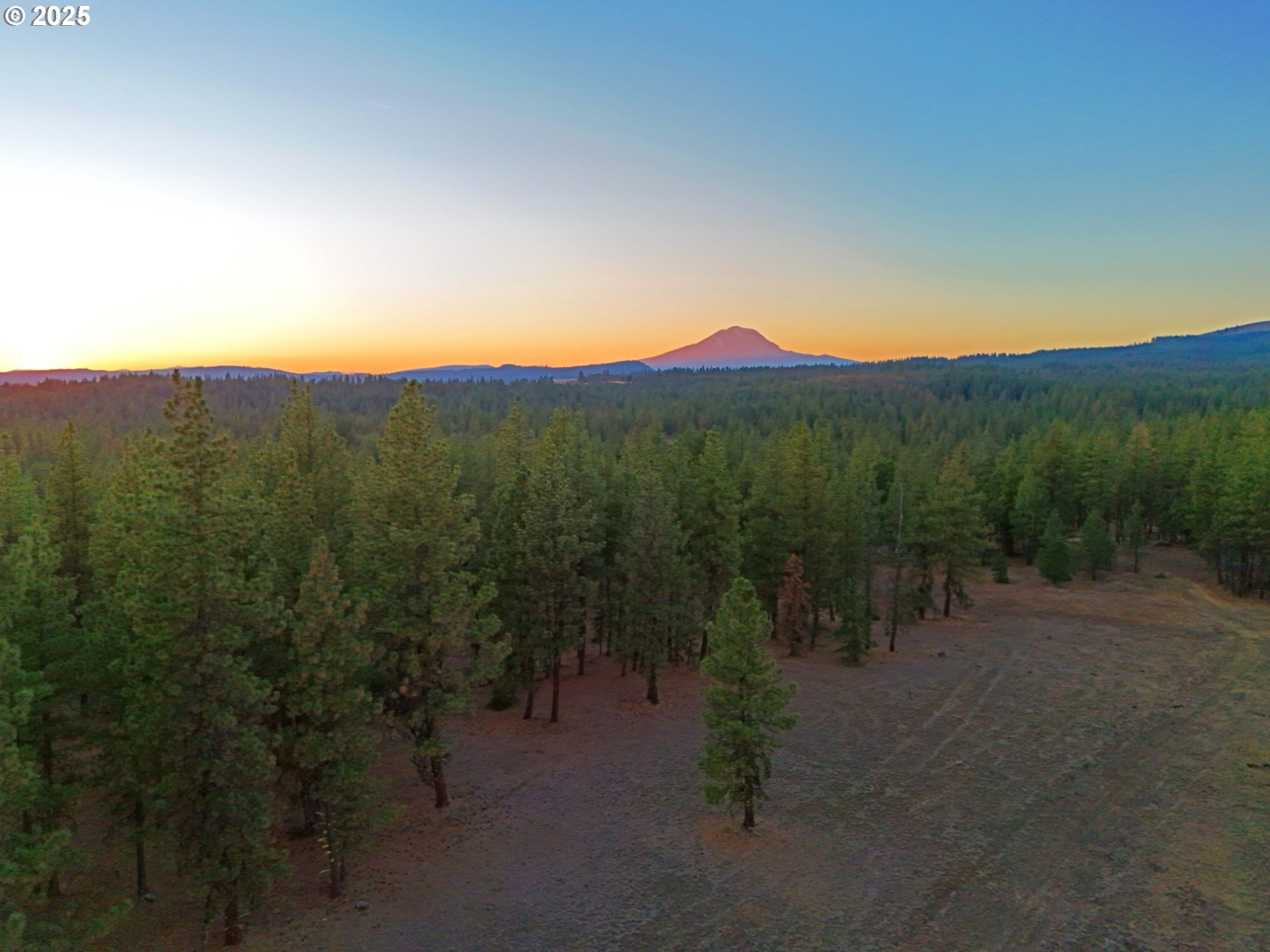 Boardman Way, Unit 5 Goldendale, WA 98620 - Photo 36 of 39 a view of a forest with a street