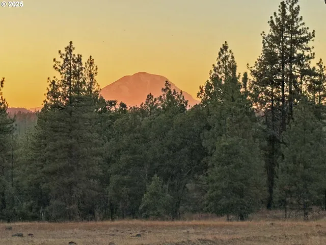 a view of a yard with a tree