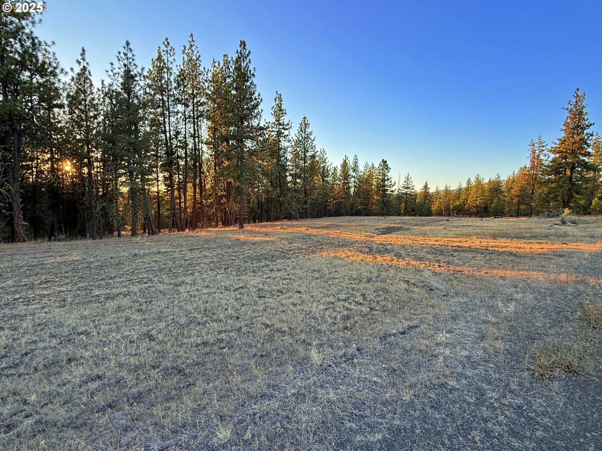Boardman Way, Unit 5 Goldendale, WA 98620 - Photo 6 of 39 a view of dirt field with trees in the background