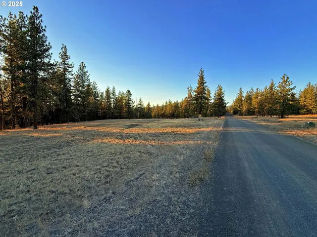 a view of a field with trees in the background