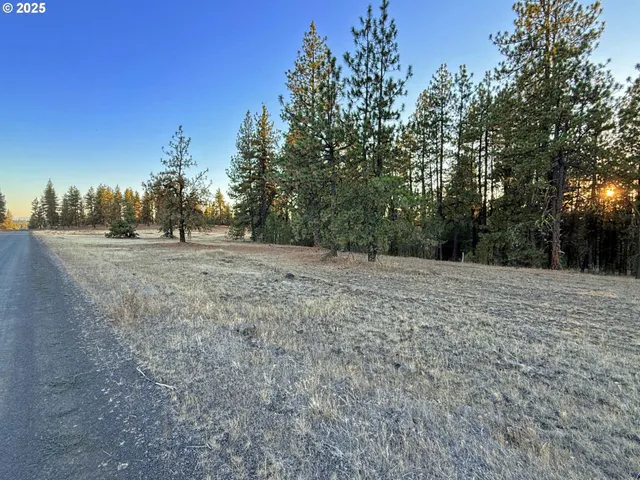 a view of dirt field with trees in the background