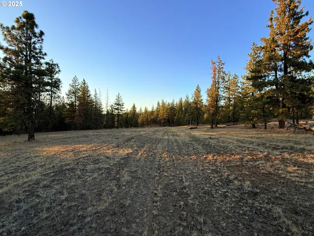 a view of dirt field with trees in the background