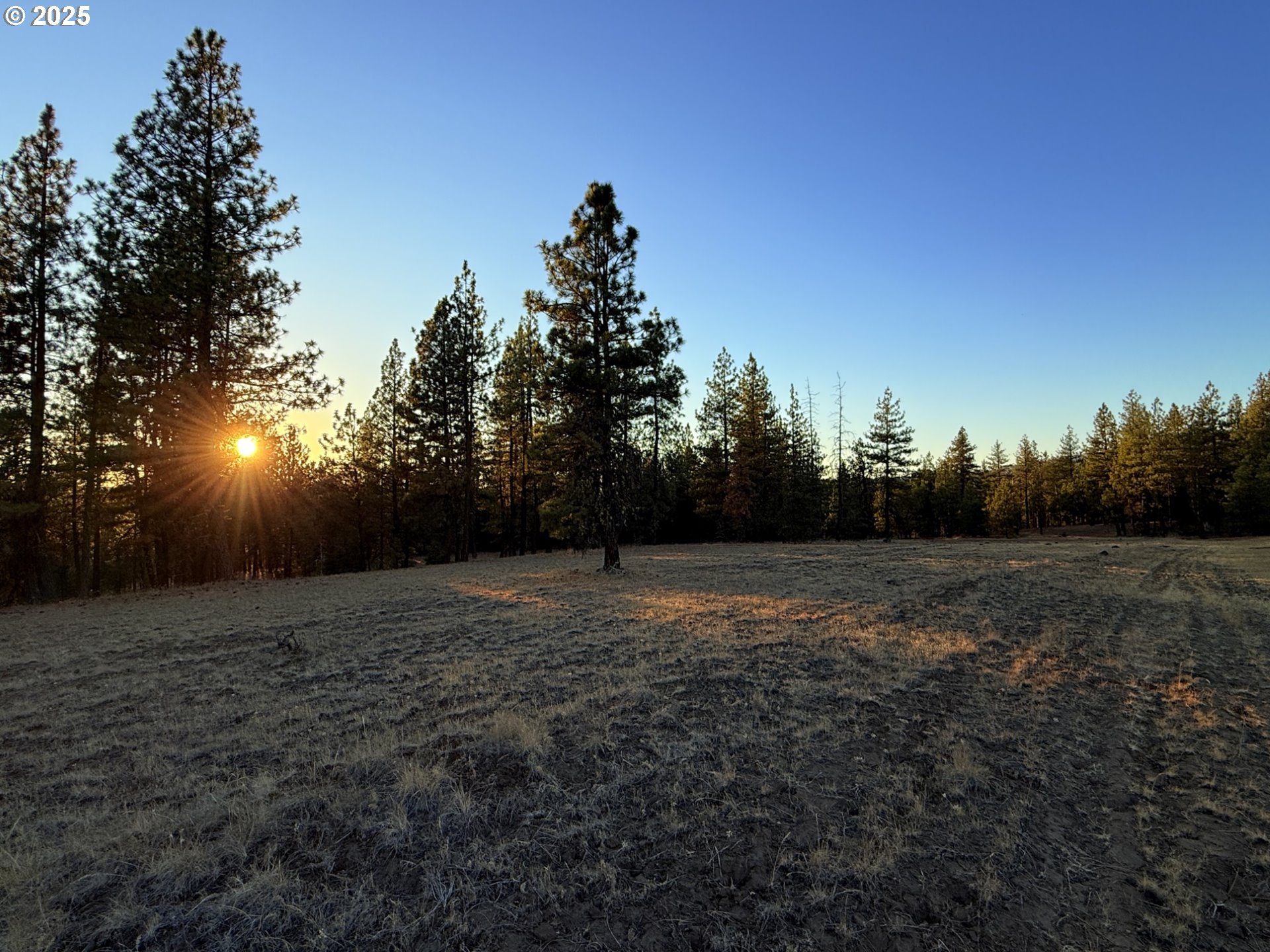 Boardman Way, Unit 5 Goldendale, WA 98620 - Photo 10 of 39 a view of a yard