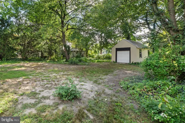 a view of a backyard with large trees