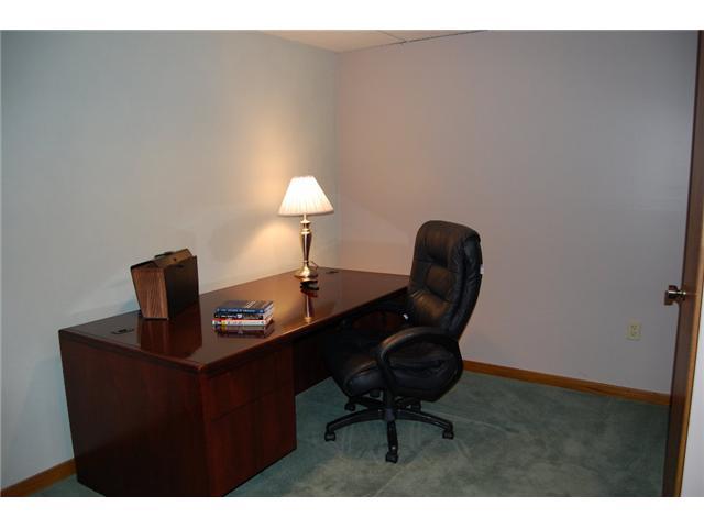 21 Forest Ridge Court Powell, OH 43065 - Photo 15 of 16 Gallery Image 15