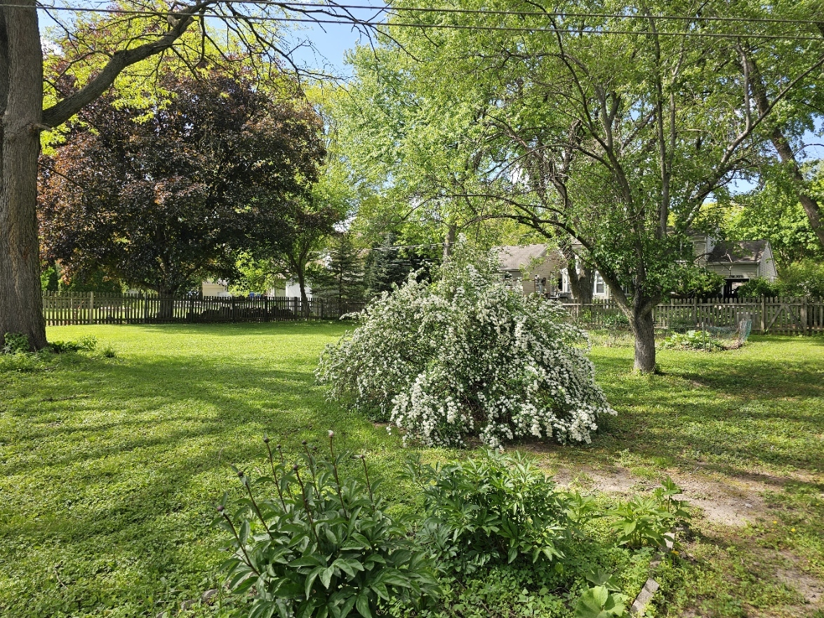 813 Considine Road Geneva, IL 60134 - Photo 7 of 67