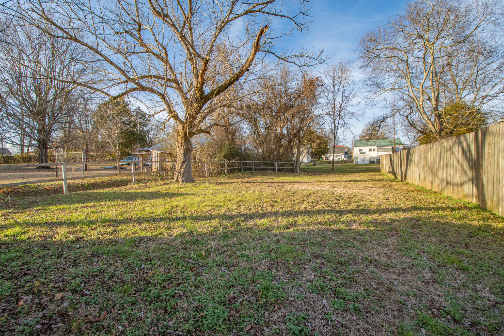 632 East Madison Street Pulaski, TN 38478 - Photo 4 of 22 a view of a yard with a tree