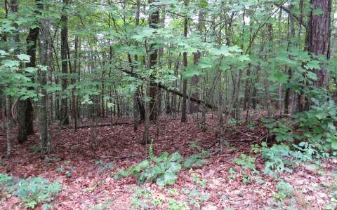 2.26 New Hope Road Morganton, GA 30560 - Photo 1 of 1 Main View