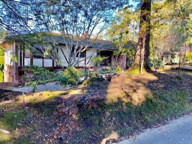 1300 La Honda Road Hillsborough, CA 94010 - Photo 2 of 17 a view of a backyard with large trees