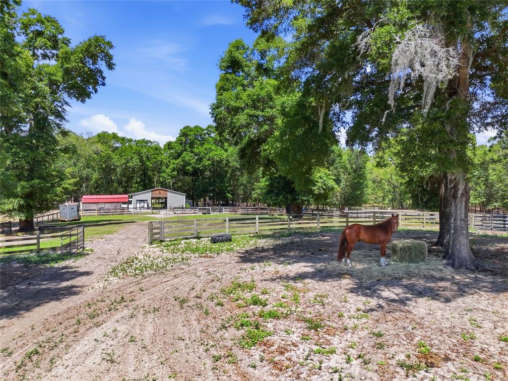 9106 Southwest 124 Street Archer, FL 32618 - Photo 20 of 35