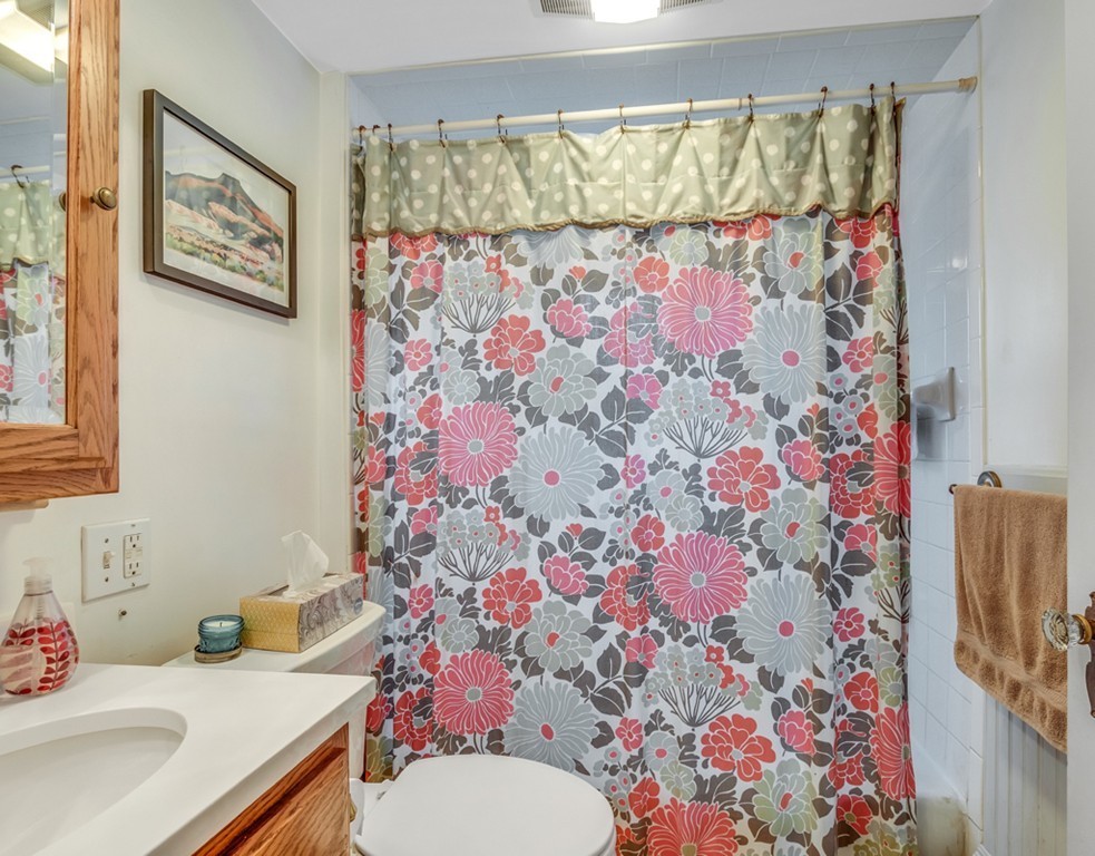162 Maple Street Lexington, MA 02420 - Photo 19 of 27 Gallery Image 19