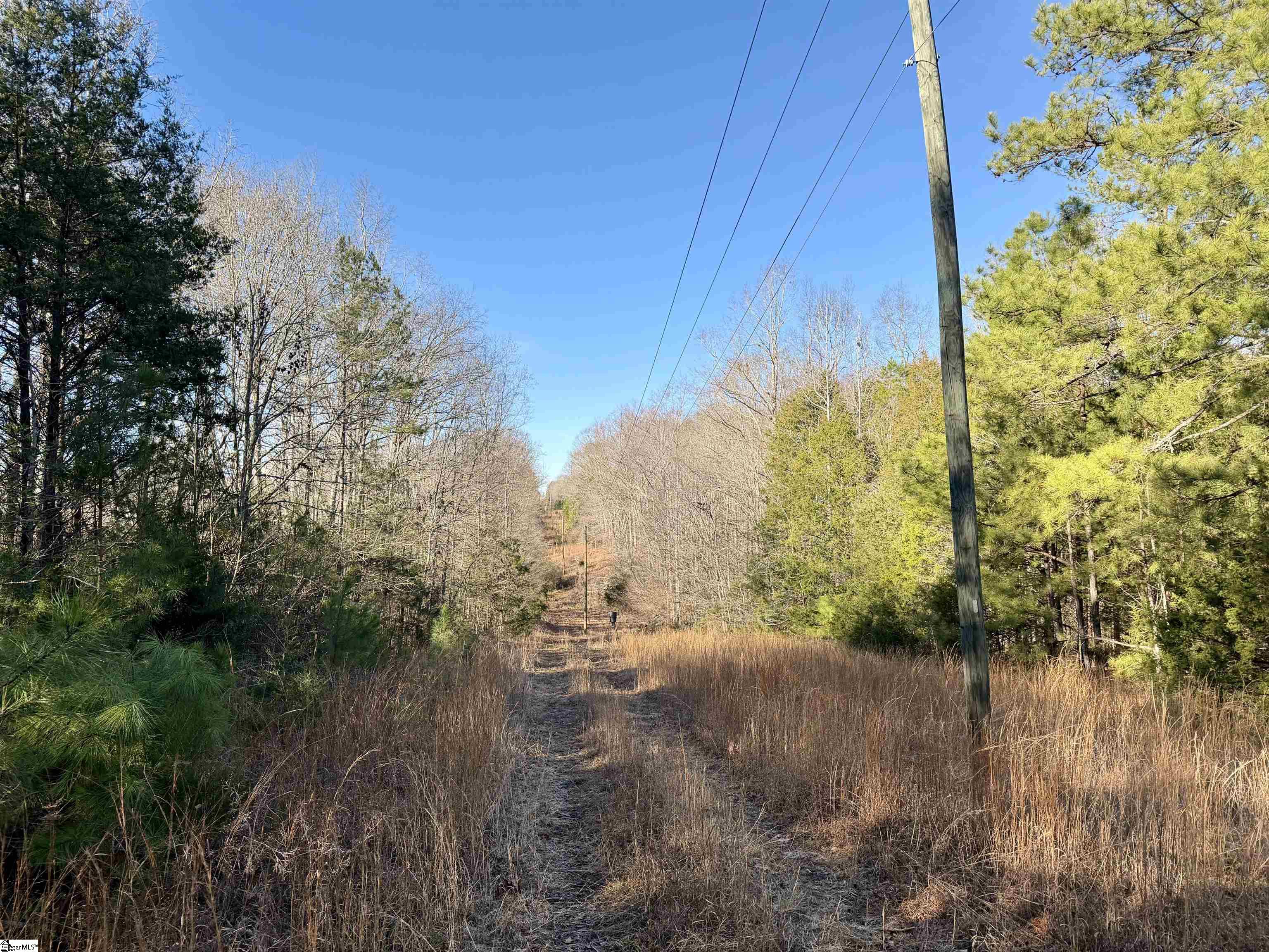 0 Neely Ferry Road Laurens, SC 29360 - Photo 12 of 24 Gallery Image 12