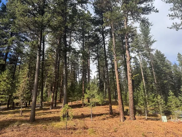 $89,000 | Tbd Sorrel Drive, Unit 21, New Meadows, ID 83654