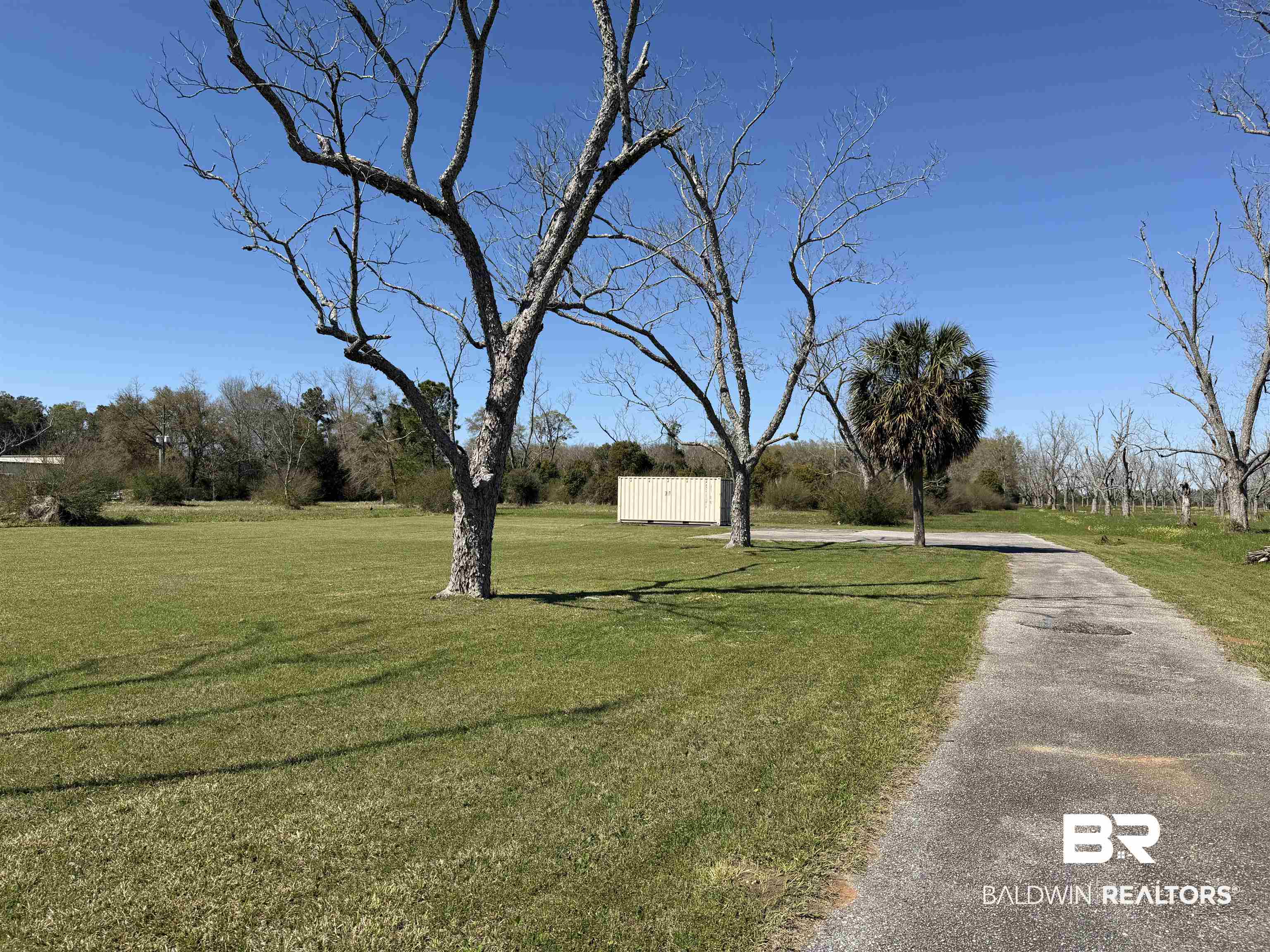 21815 Highway 98 Foley, AL 36535 - Photo 3 of 12 View of road