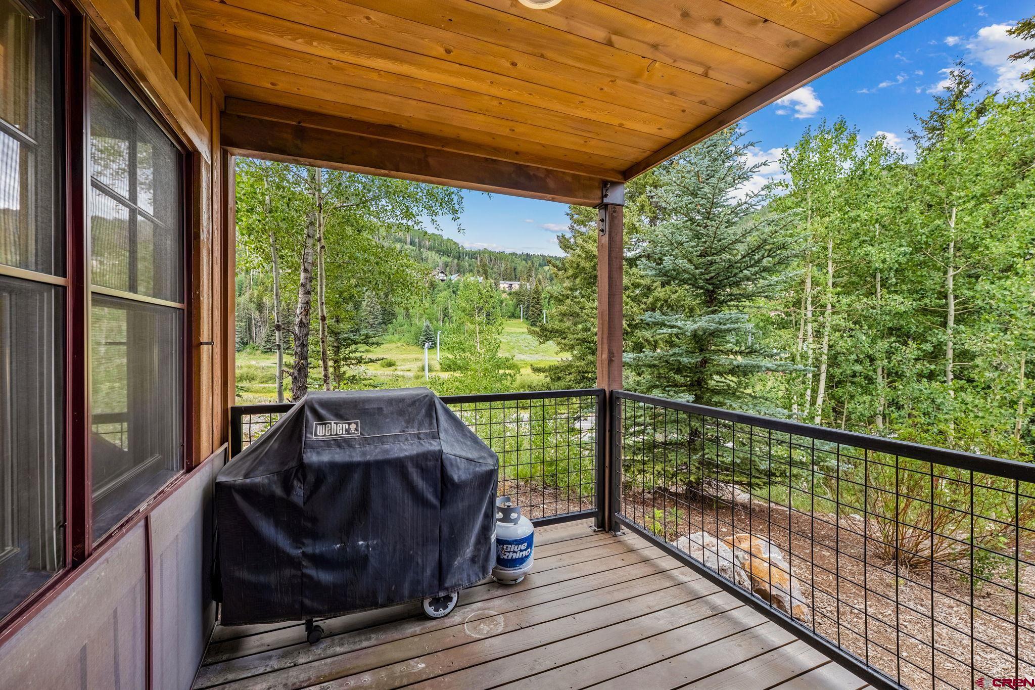 102 Limestone Court Durango, CO 81301 - Photo 22 of 38