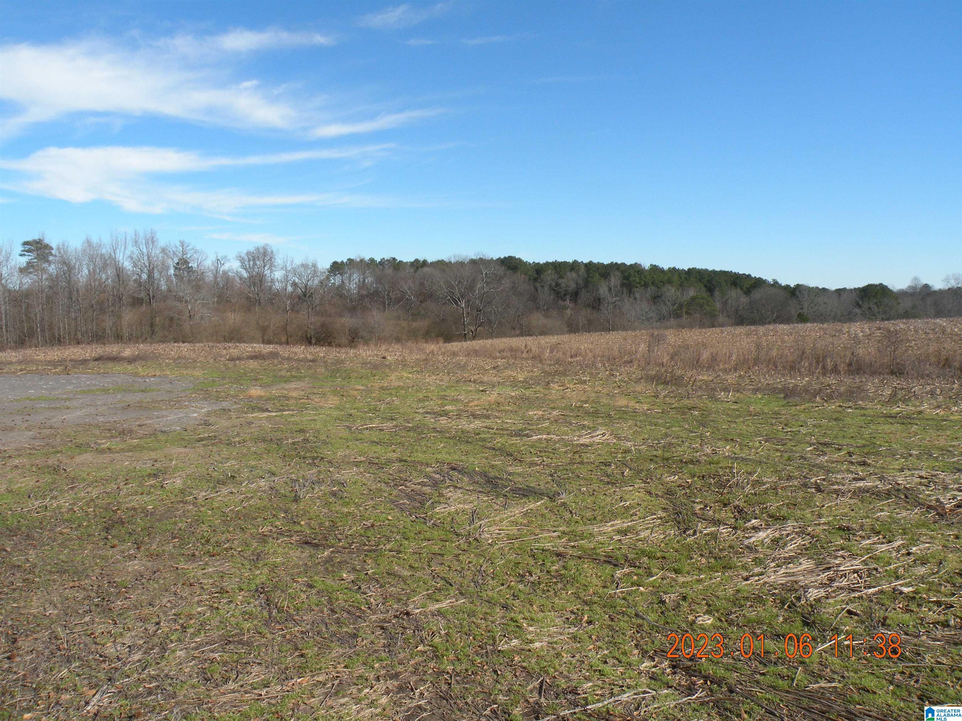 Lays Road, Unit 211 Jasper, AL 35503 - Photo 2 of 3