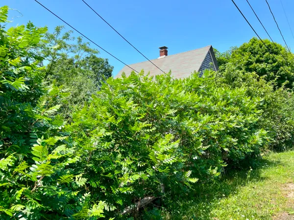 a backyard of a house with lots of green space