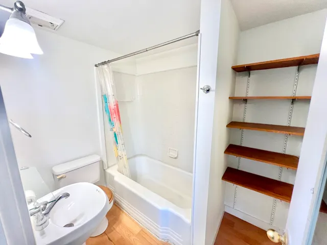 a bathroom with a toilet and a bathtub