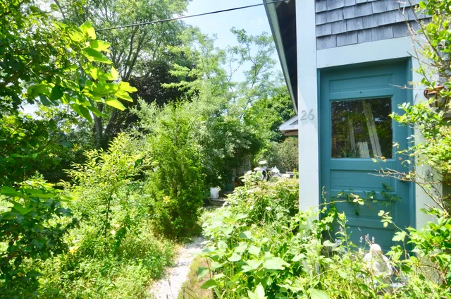 a view of a garden with plants