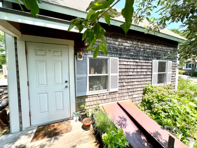 a view of backyard with a large tree