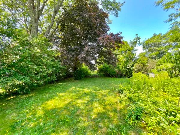 a view of yard with green space