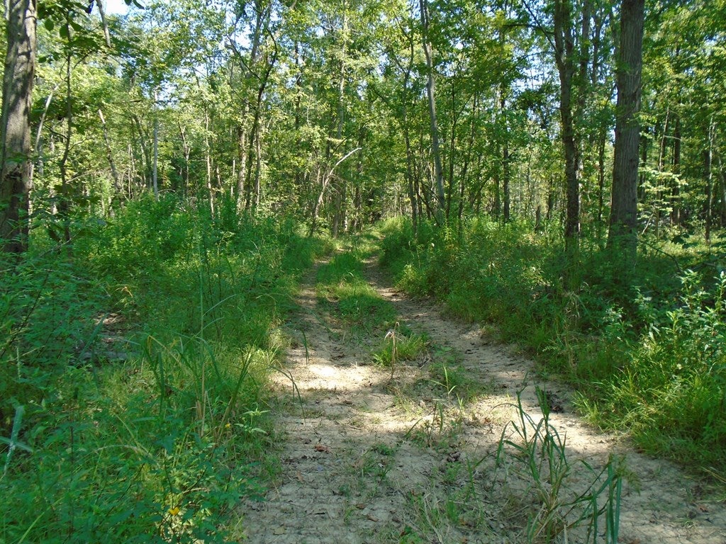 0 Estill Baker Road Berea, KY 40403 - Photo 9 of 13 Gallery Image 9