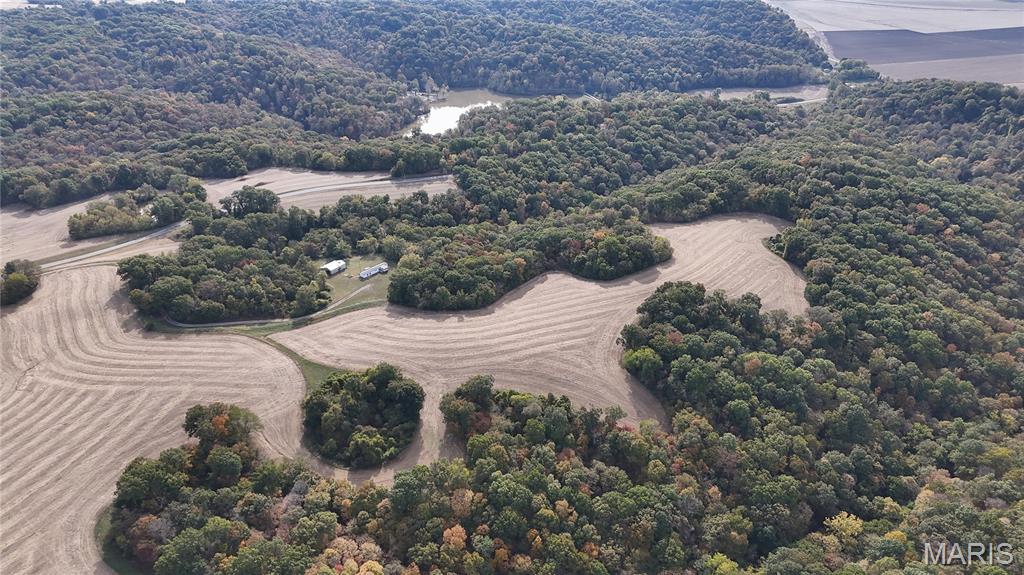 1519 G Road Prairie du Rocher, IL 62277 - Photo 19 of 38