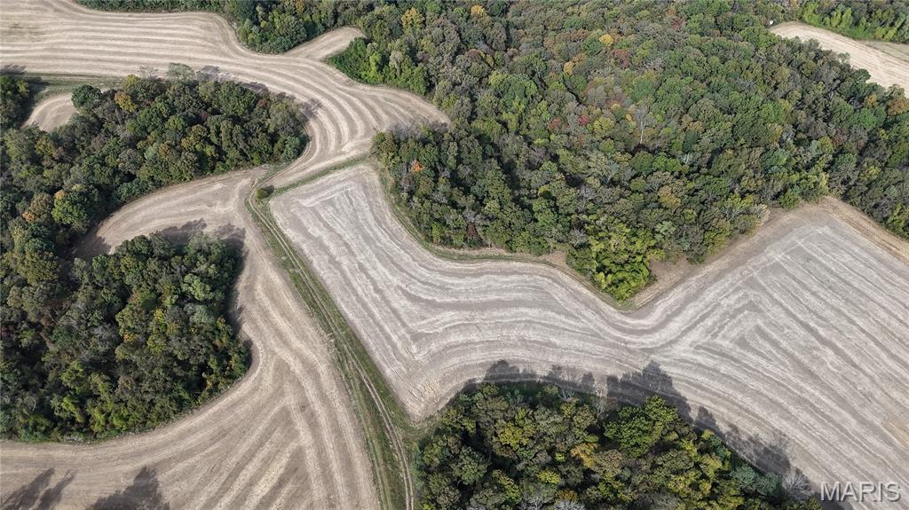 1519 G Road Prairie du Rocher, IL 62277 - Photo 2 of 38