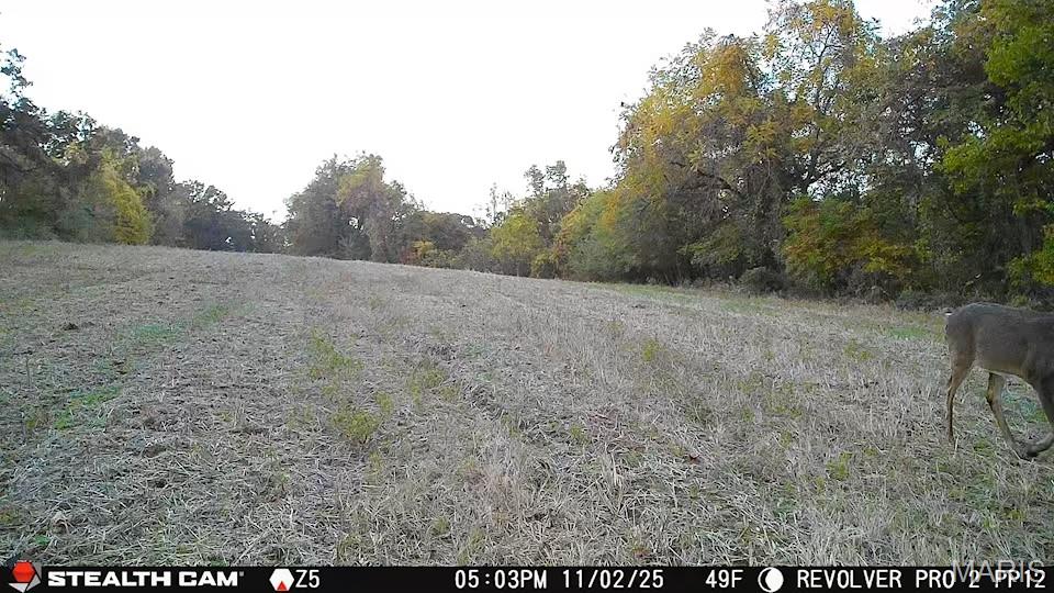 1519 G Road Prairie du Rocher, IL 62277 - Photo 21 of 38