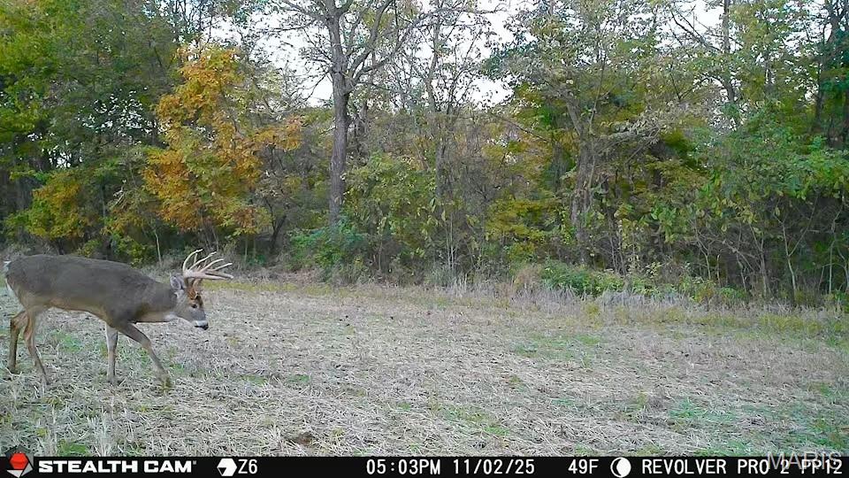 1519 G Road Prairie du Rocher, IL 62277 - Photo 22 of 38