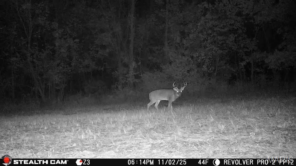 1519 G Road Prairie du Rocher, IL 62277 - Photo 23 of 38