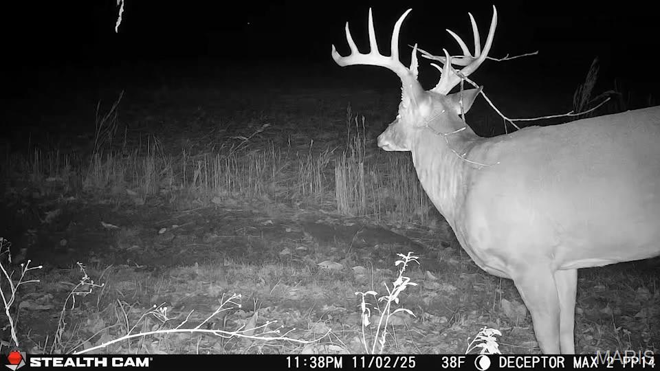 1519 G Road Prairie du Rocher, IL 62277 - Photo 3 of 38