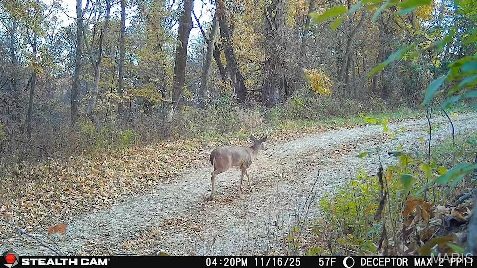 1519 G Road Prairie du Rocher, IL 62277 - Photo 37 of 38