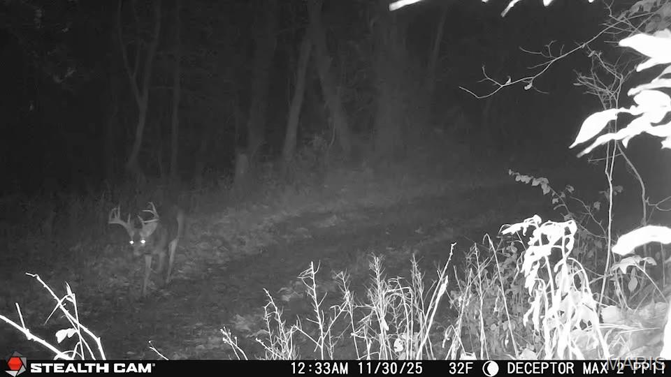 1519 G Road Prairie du Rocher, IL 62277 - Photo 38 of 38