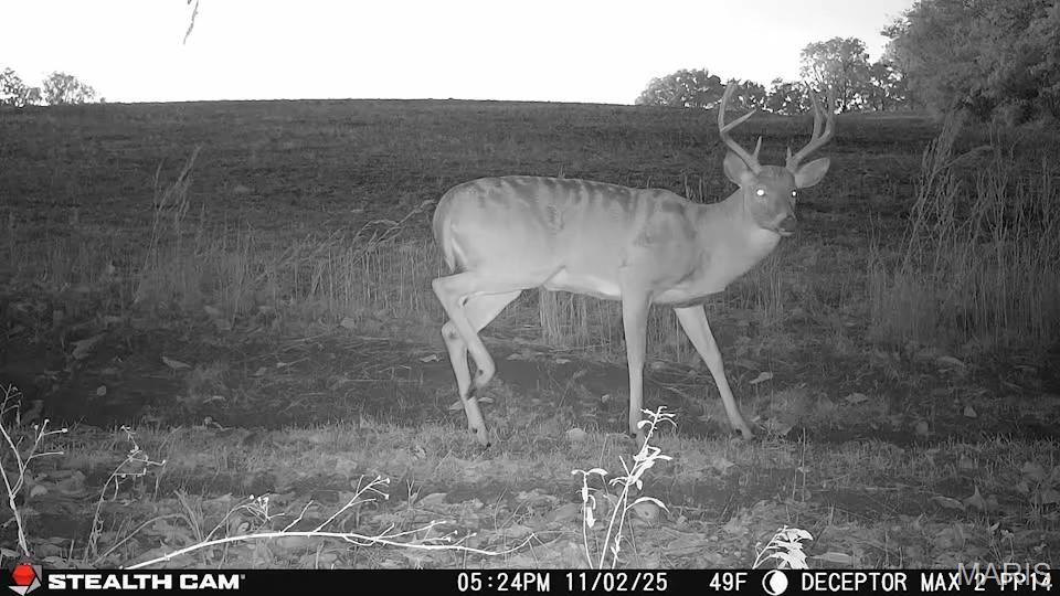 1519 G Road Prairie du Rocher, IL 62277 - Photo 7 of 38