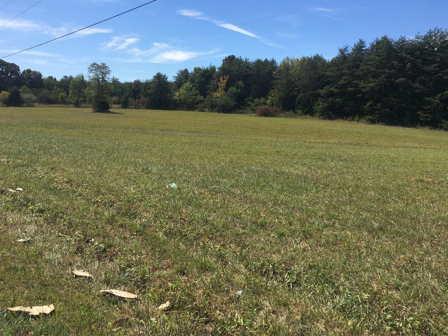 933 Low Gap Road Irvine, KY 40336 - Photo 2 of 5 Photo 2
