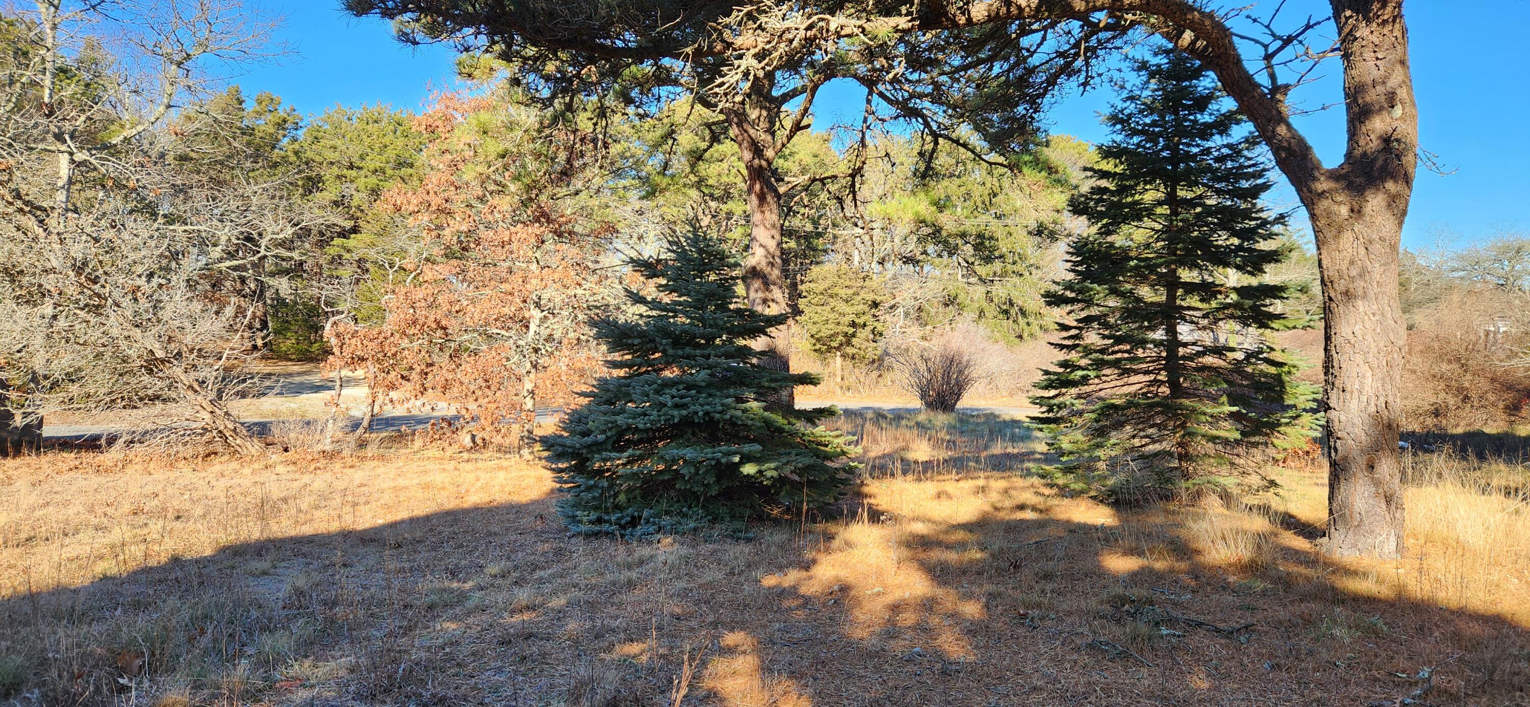 95 Windjammer Lane Eastham, MA 02642 - Photo 12 of 19