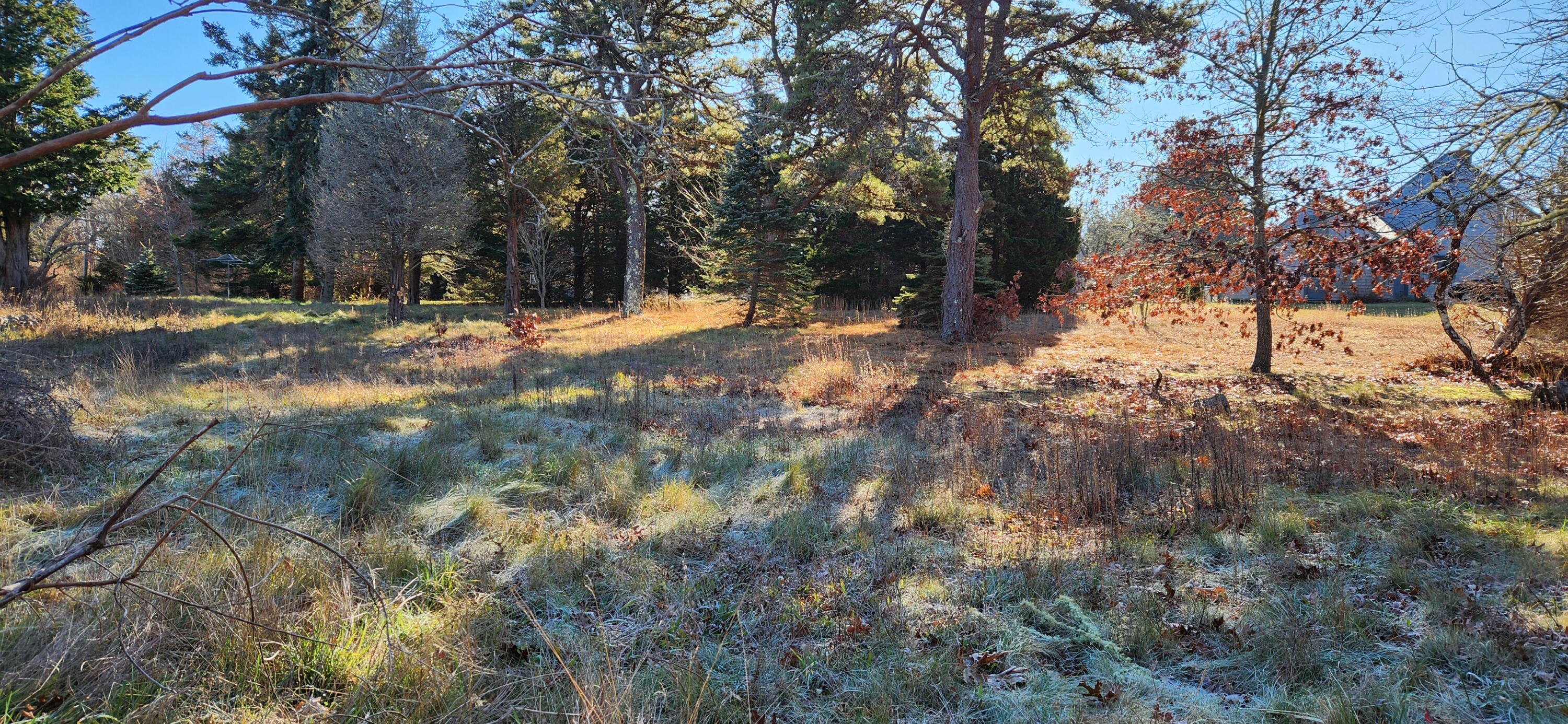 95 Windjammer Lane Eastham, MA 02642 - Photo 13 of 19 a view of yard covered with snow