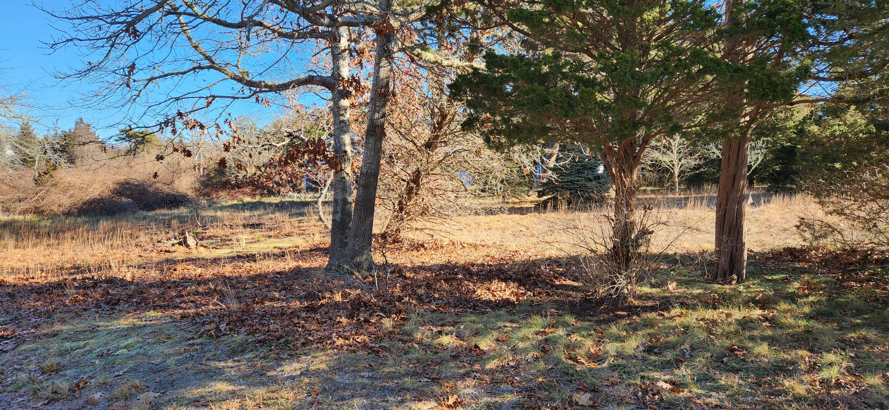 95 Windjammer Lane Eastham, MA 02642 - Photo 10 of 19 a view of a yard with mountain