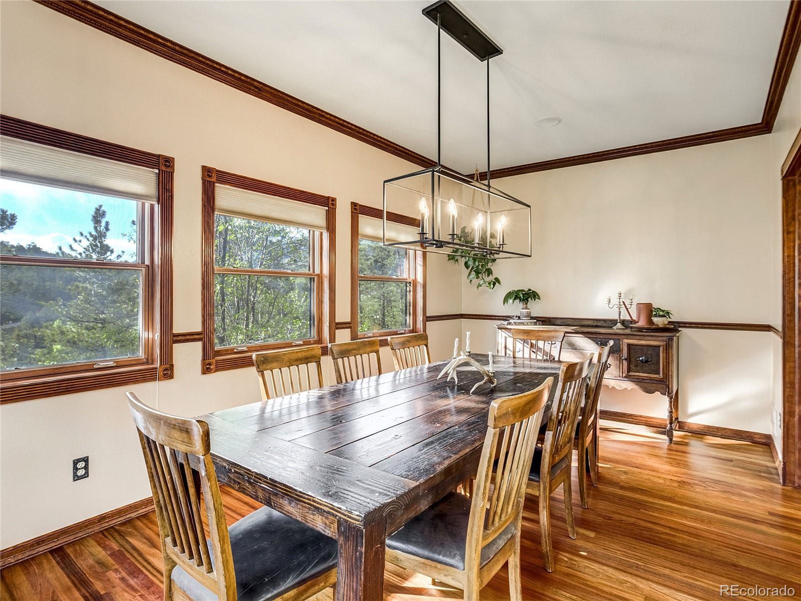 4660 Hagerman Road Cascade, CO 80809 - Photo 20 of 50