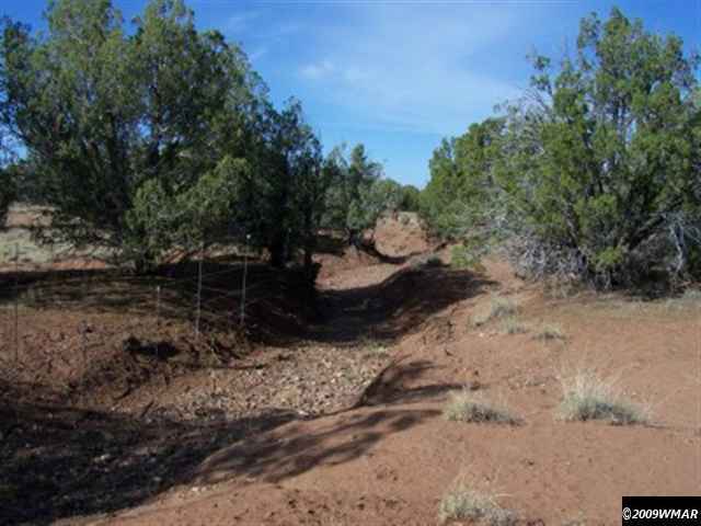54 North 9157th Concho, AZ 85924 - Photo 3 of 5 a view of a dry yard with trees