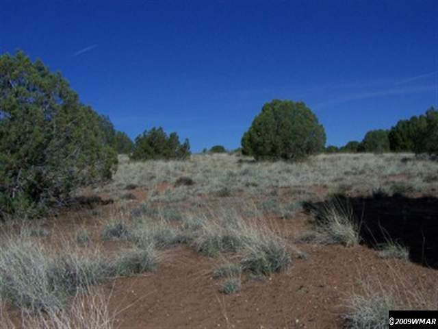 54 North 9157th Concho, AZ 85924 - Photo 4 of 5 a view of a dry yard